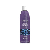 Shower Gel Scrub Blueberry Petrova Naturals