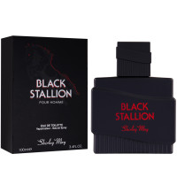 Black Stallion Shirley May